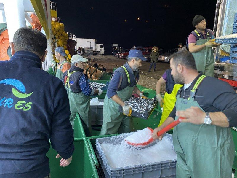 Karadeniz'den kasa kasa hamsi çıktı