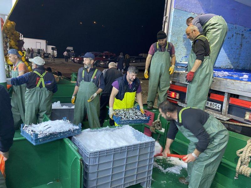 Karadeniz'den kasa kasa hamsi çıktı