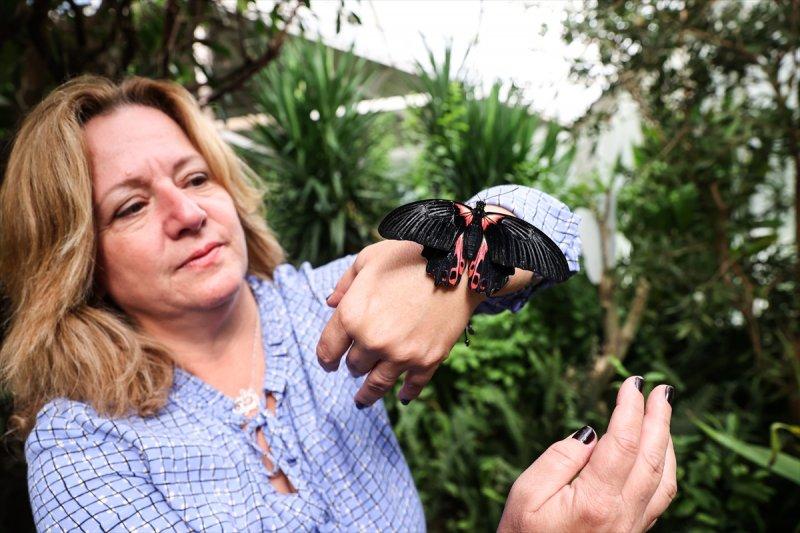 Beykoz'daki kelebek çiftliği
