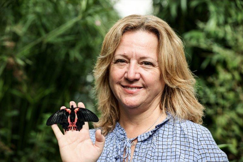 Beykoz'daki kelebek çiftliği