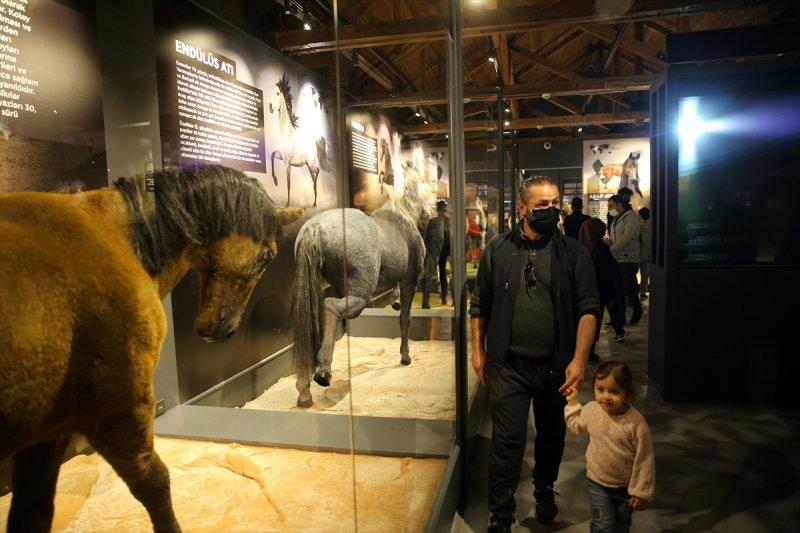 Sivas'ta 'Savaş Atları Müzesi' açıldı