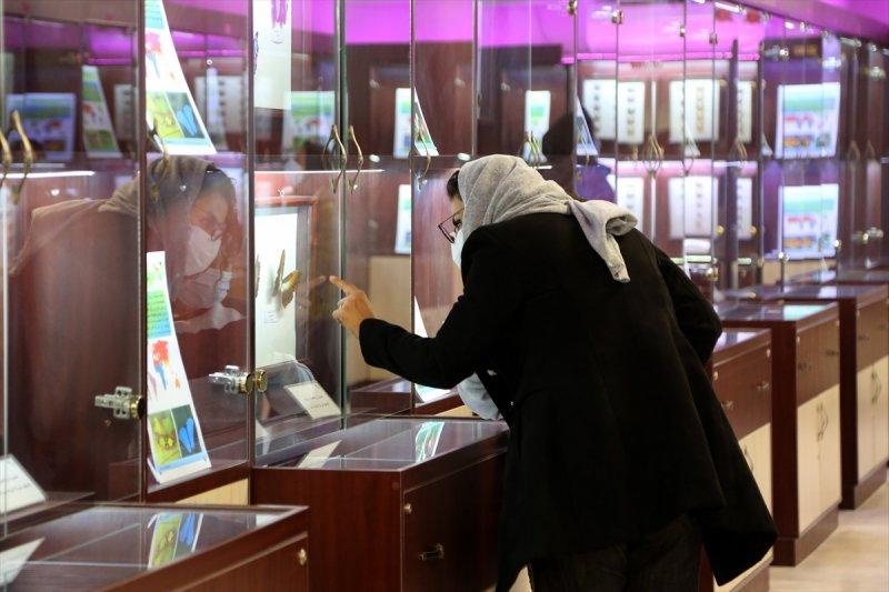 Tahran'daki kelebek müzesinde 60 ülkeden kelebek bulunuyor 