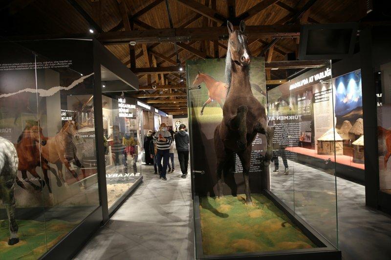 Sivas'ta 'Savaş Atları Müzesi' açıldı