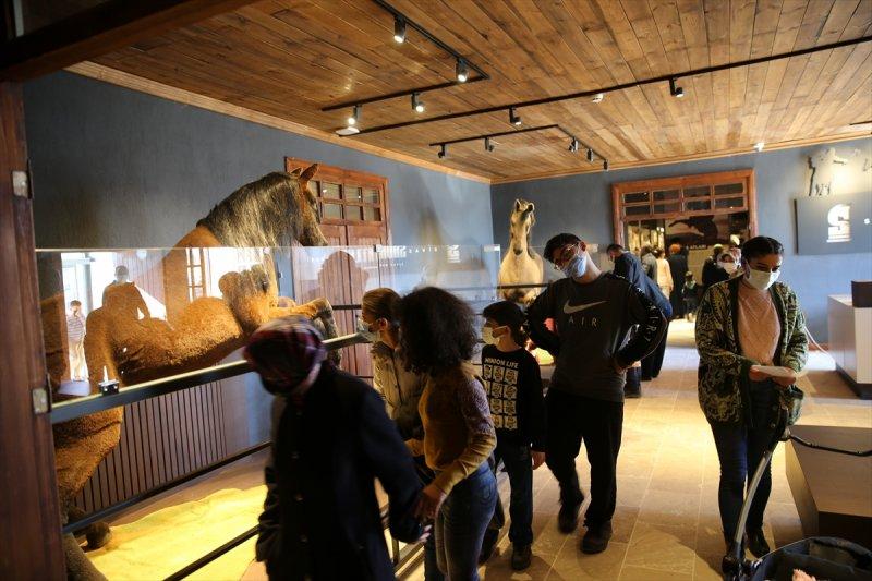 Sivas'ta 'Savaş Atları Müzesi' açıldı
