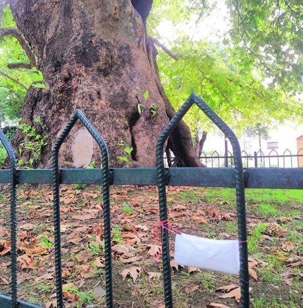 İstanbul'un ziyaretçi akınına uğrayan türbeleri