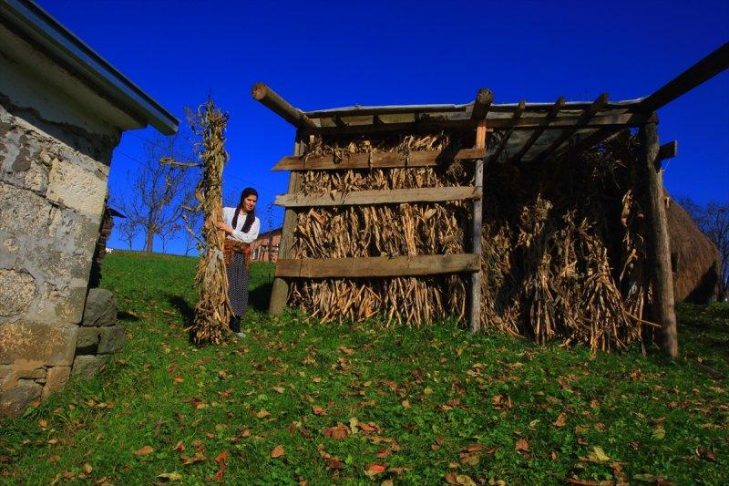 Karadenizli kadınların kış hazırlığı