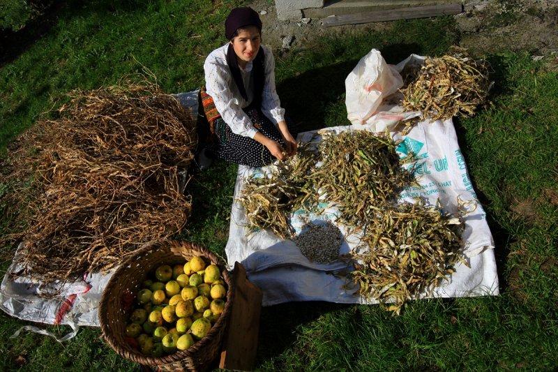 Karadenizli kadınların kış hazırlığı