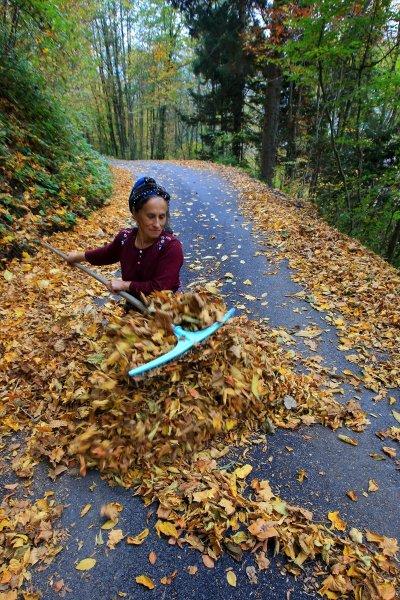 Karadenizli kadınların kış hazırlığı