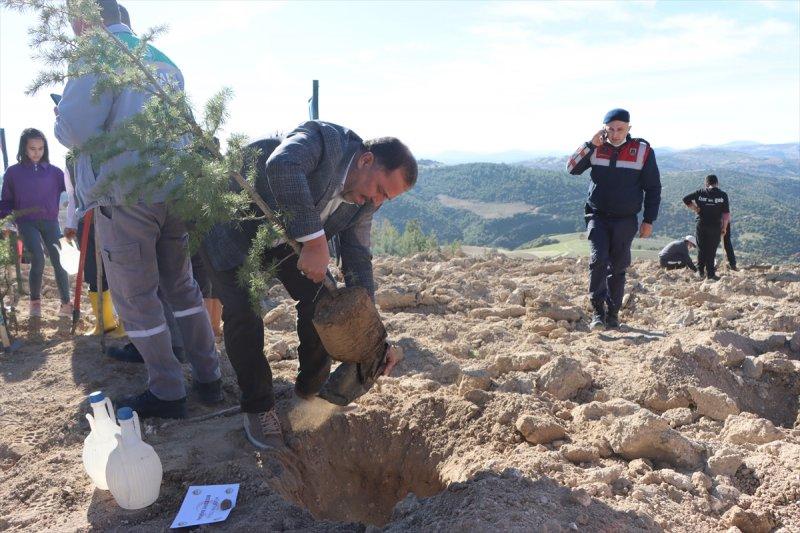 Milli Ağaçlandırma gününde yurt genelinde fidan dikimi yapıldı