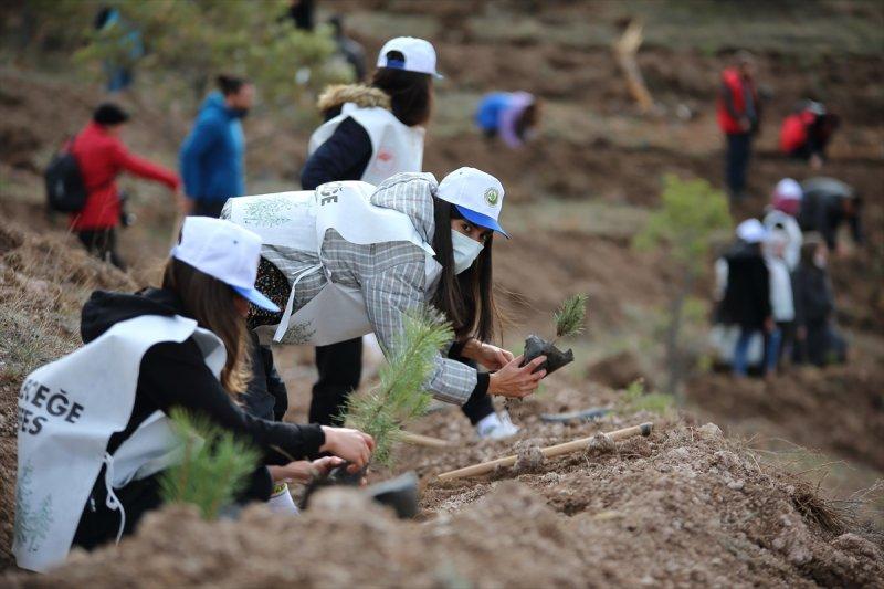 Milli Ağaçlandırma gününde yurt genelinde fidan dikimi yapıldı