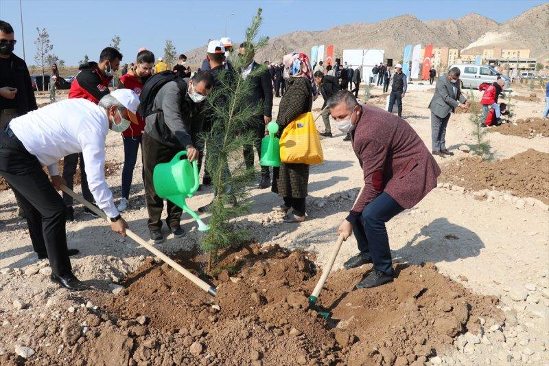 Milli Ağaçlandırma gününde yurt genelinde fidan dikimi yapıldı