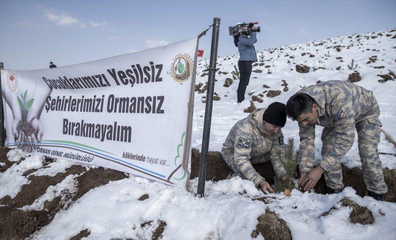 Milli Ağaçlandırma gününde yurt genelinde fidan dikimi yapıldı