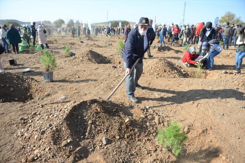 Milli Ağaçlandırma gününde yurt genelinde fidan dikimi yapıldı