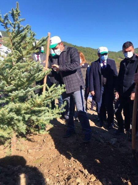 Milli Ağaçlandırma gününde yurt genelinde fidan dikimi yapıldı
