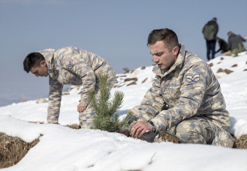Milli Ağaçlandırma gününde yurt genelinde fidan dikimi yapıldı