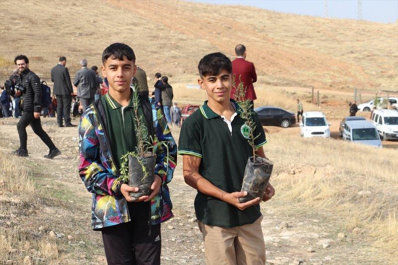 Milli Ağaçlandırma gününde yurt genelinde fidan dikimi yapıldı