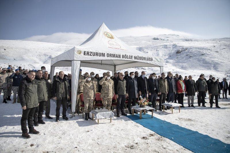 Milli Ağaçlandırma gününde yurt genelinde fidan dikimi yapıldı