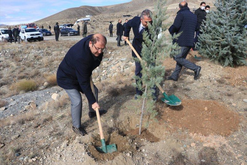 Milli Ağaçlandırma gününde yurt genelinde fidan dikimi yapıldı