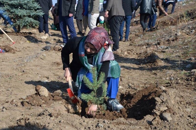 Milli Ağaçlandırma gününde yurt genelinde fidan dikimi yapıldı