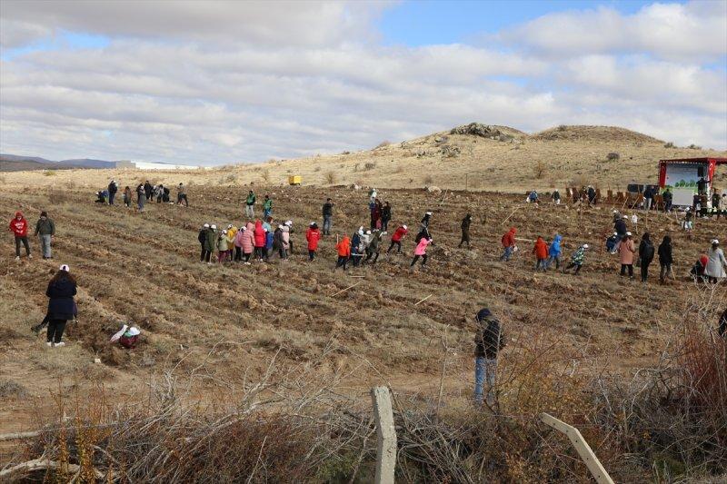 Milli Ağaçlandırma gününde yurt genelinde fidan dikimi yapıldı