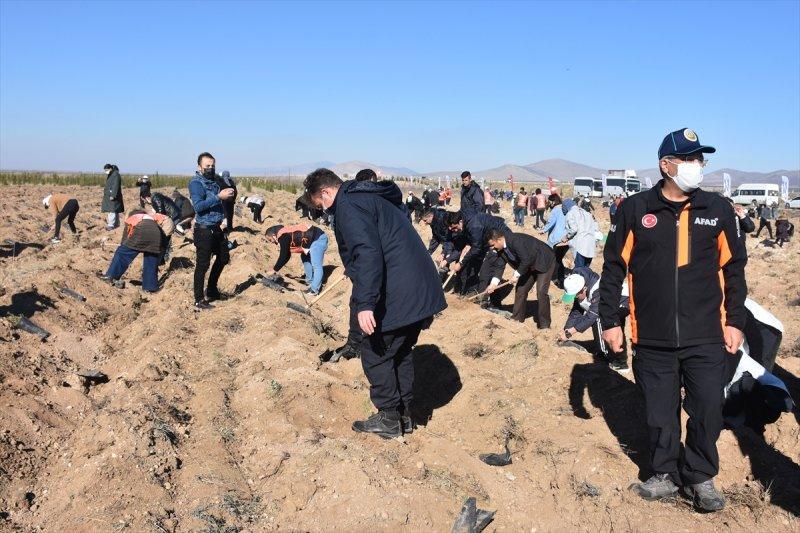 Milli Ağaçlandırma gününde yurt genelinde fidan dikimi yapıldı