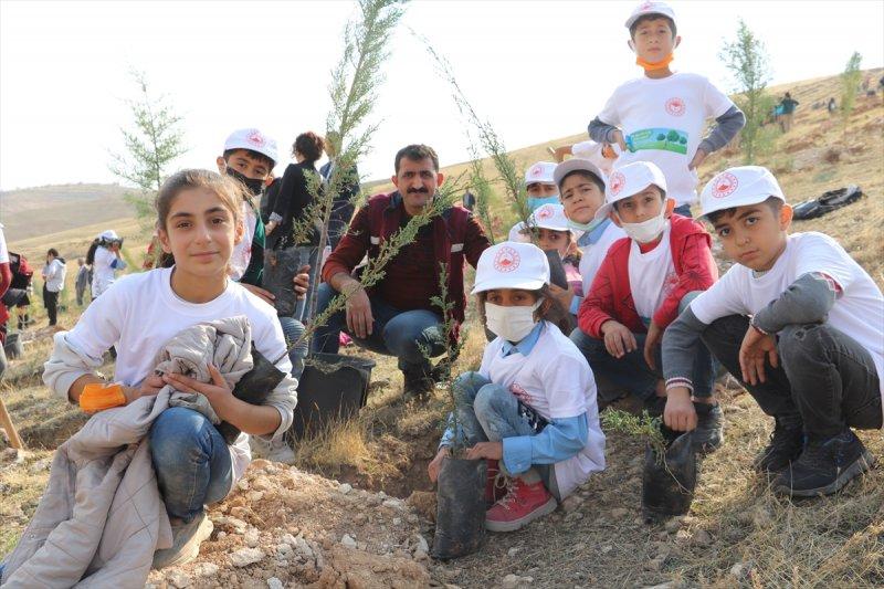 Milli Ağaçlandırma gününde yurt genelinde fidan dikimi yapıldı