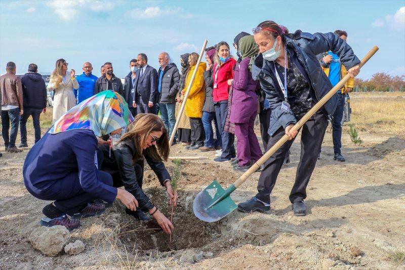Milli Ağaçlandırma gününde yurt genelinde fidan dikimi yapıldı