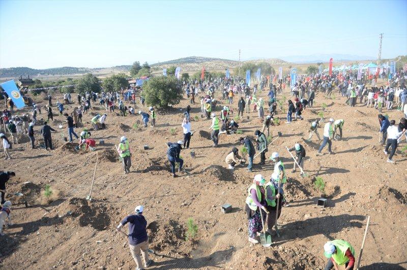Milli Ağaçlandırma gününde yurt genelinde fidan dikimi yapıldı