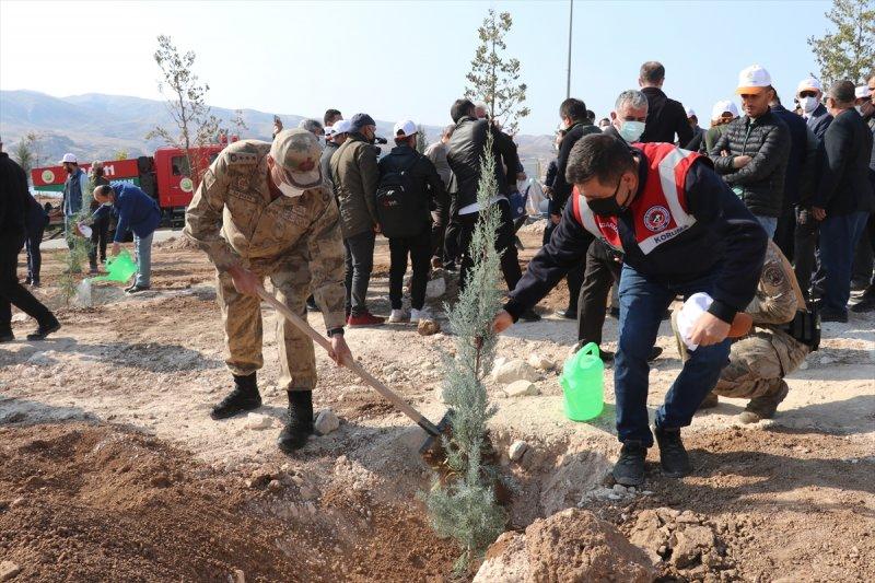 Milli Ağaçlandırma gününde yurt genelinde fidan dikimi yapıldı