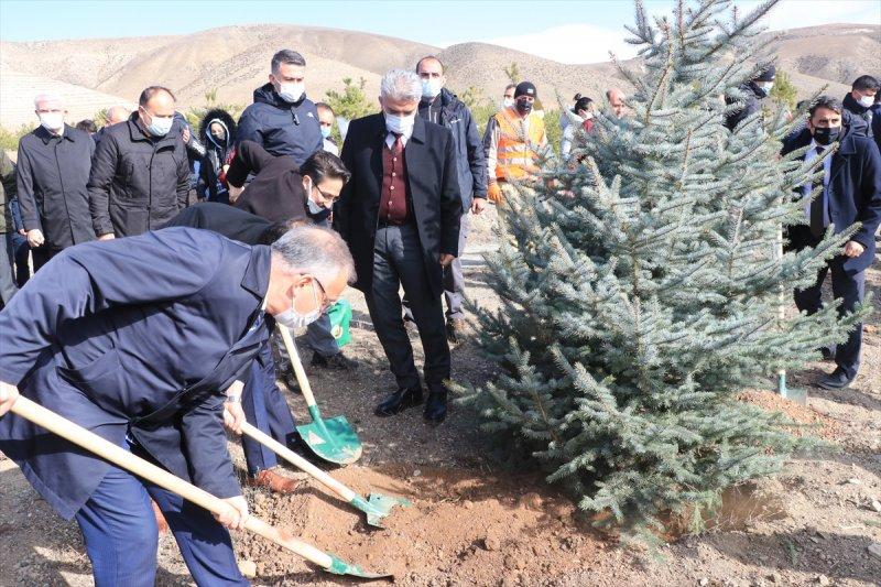 Milli Ağaçlandırma gününde yurt genelinde fidan dikimi yapıldı