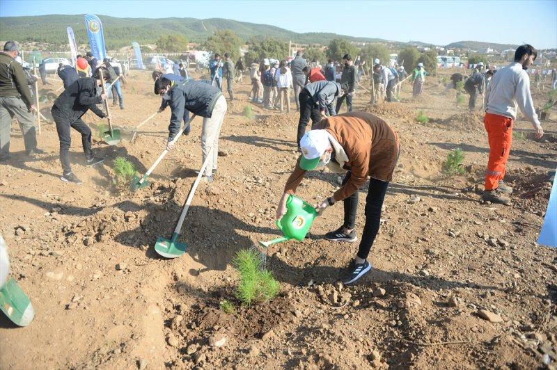 Milli Ağaçlandırma gününde yurt genelinde fidan dikimi yapıldı
