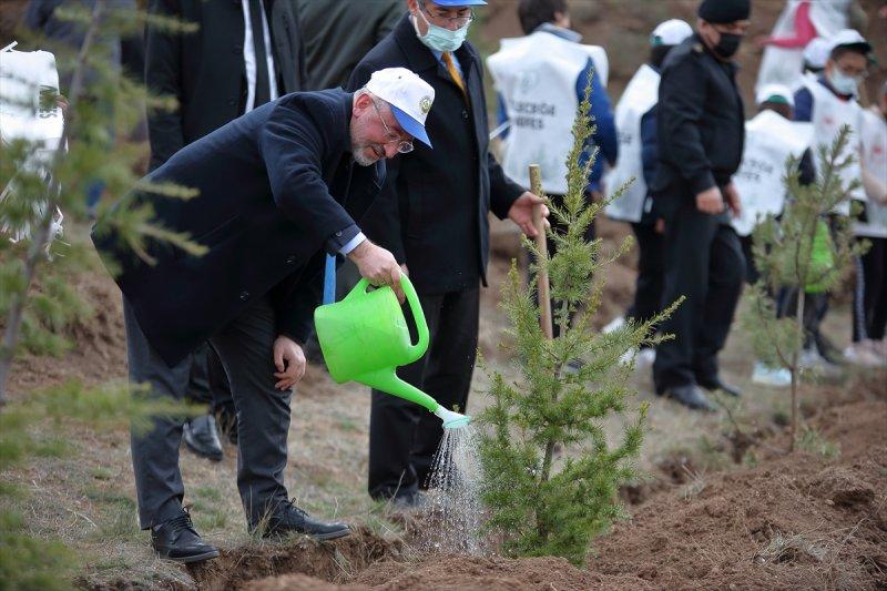 Milli Ağaçlandırma gününde yurt genelinde fidan dikimi yapıldı