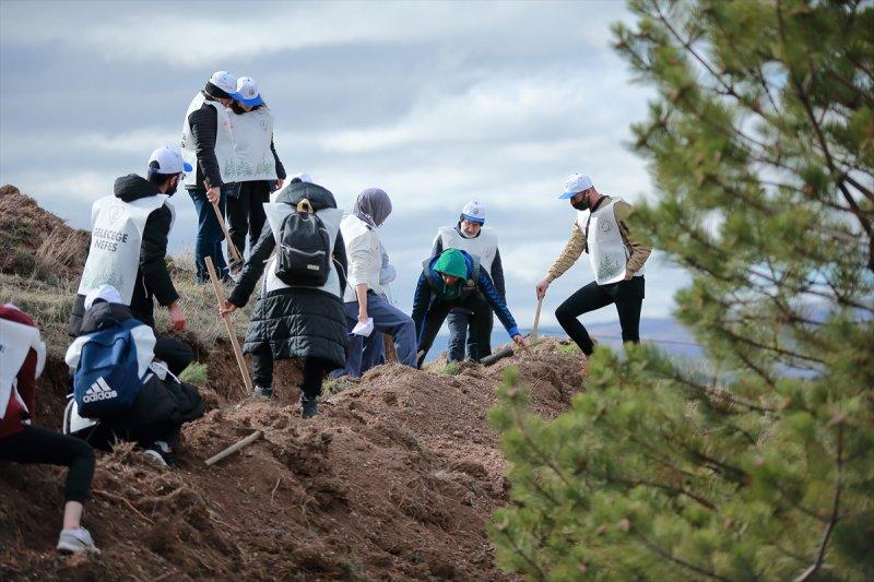 Milli Ağaçlandırma gününde yurt genelinde fidan dikimi yapıldı