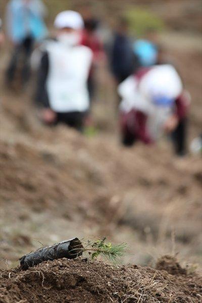 Milli Ağaçlandırma gününde yurt genelinde fidan dikimi yapıldı