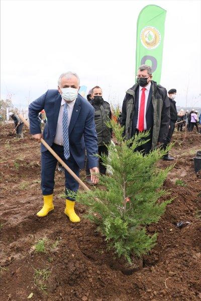 Milli Ağaçlandırma gününde yurt genelinde fidan dikimi yapıldı