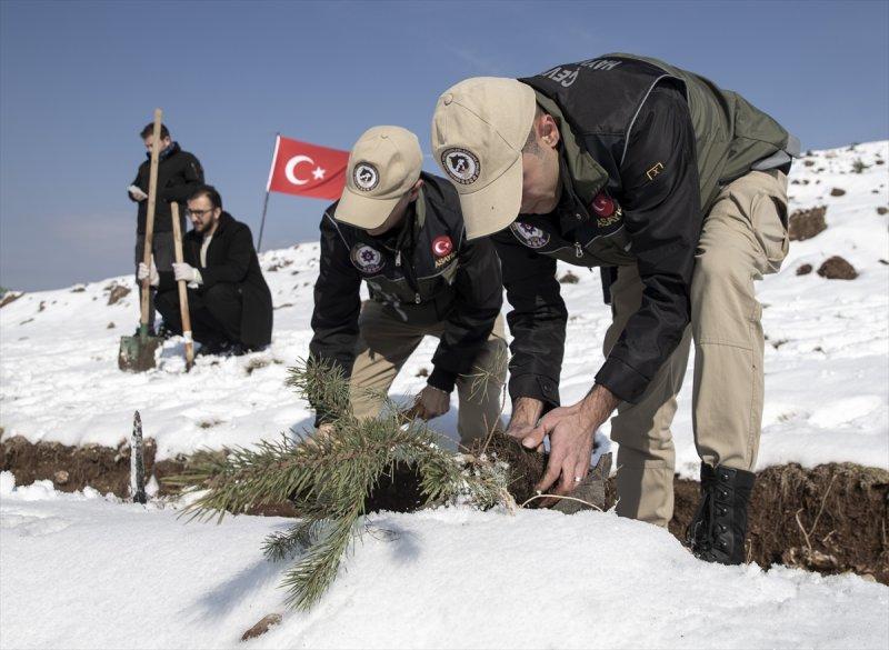 Milli Ağaçlandırma gününde yurt genelinde fidan dikimi yapıldı