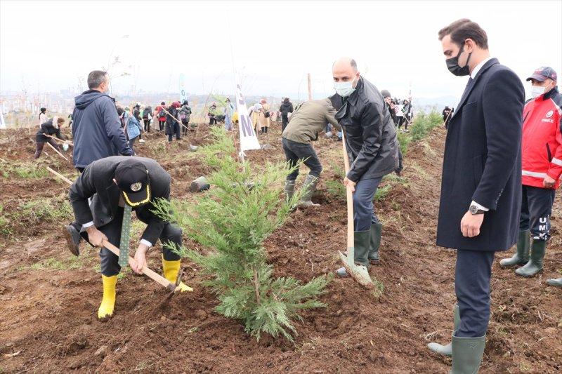 Milli Ağaçlandırma gününde yurt genelinde fidan dikimi yapıldı