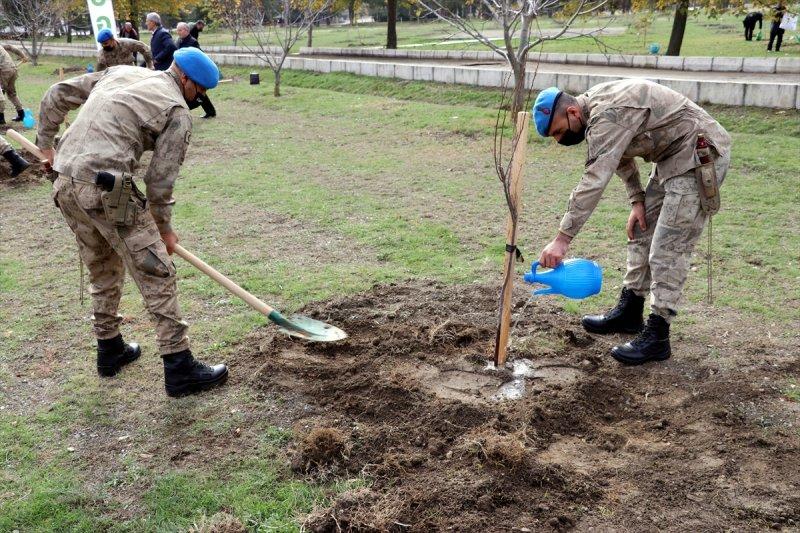 Milli Ağaçlandırma gününde yurt genelinde fidan dikimi yapıldı