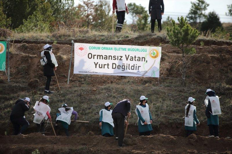 Milli Ağaçlandırma gününde yurt genelinde fidan dikimi yapıldı