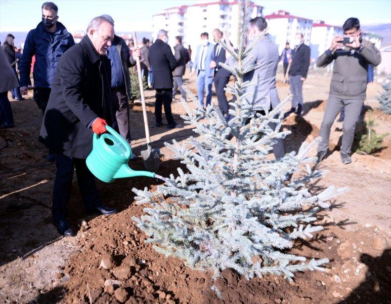 Milli Ağaçlandırma gününde yurt genelinde fidan dikimi yapıldı