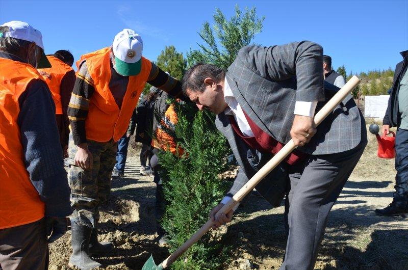 Milli Ağaçlandırma gününde yurt genelinde fidan dikimi yapıldı
