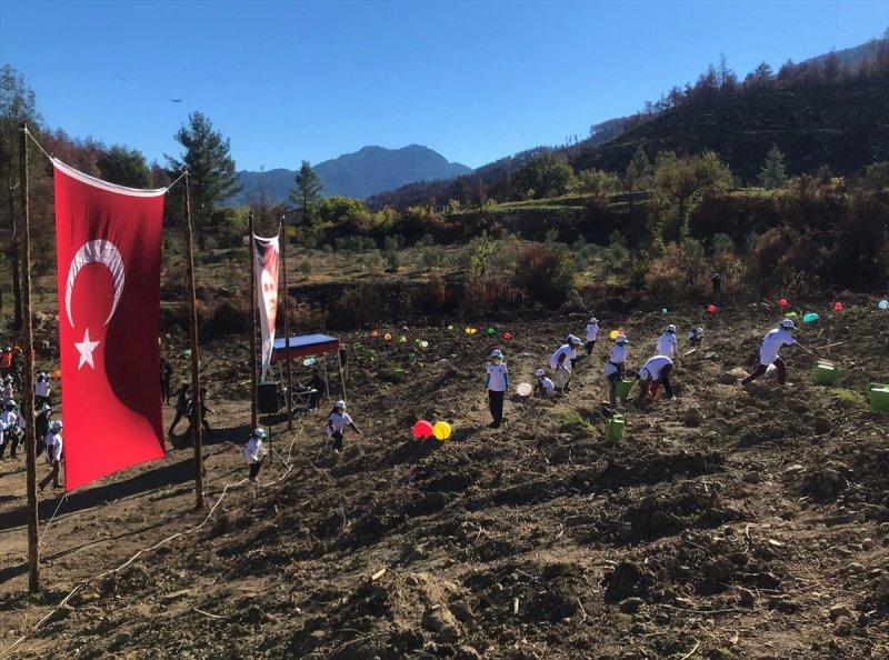 Milli Ağaçlandırma gününde yurt genelinde fidan dikimi yapıldı