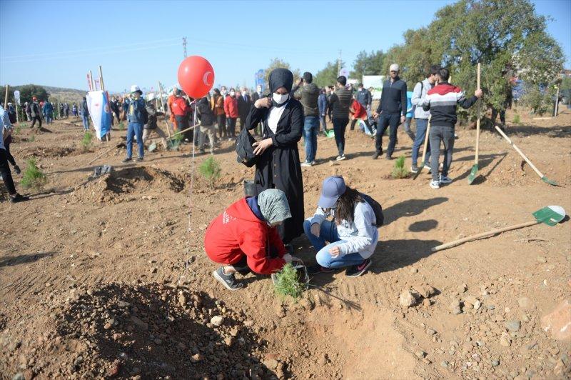 Milli Ağaçlandırma gününde yurt genelinde fidan dikimi yapıldı