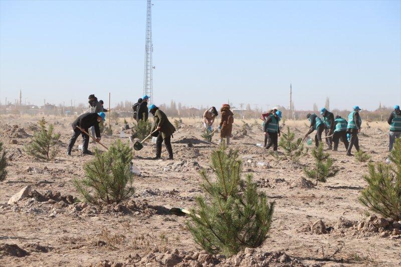 Milli Ağaçlandırma gününde yurt genelinde fidan dikimi yapıldı