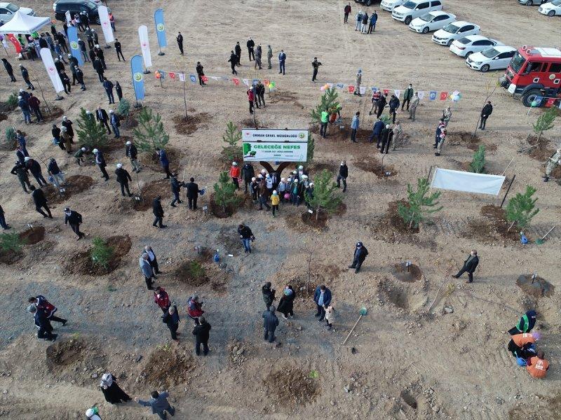 Milli Ağaçlandırma gününde yurt genelinde fidan dikimi yapıldı