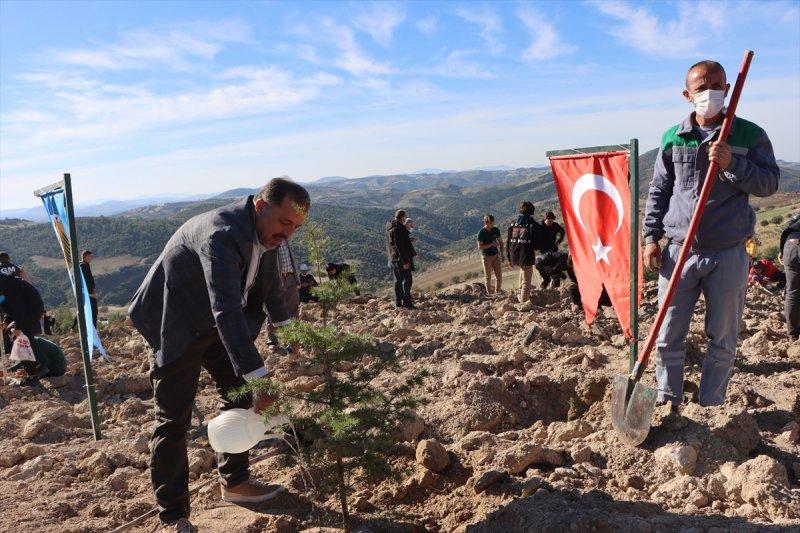 Milli Ağaçlandırma gününde yurt genelinde fidan dikimi yapıldı