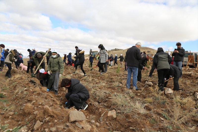 Milli Ağaçlandırma gününde yurt genelinde fidan dikimi yapıldı