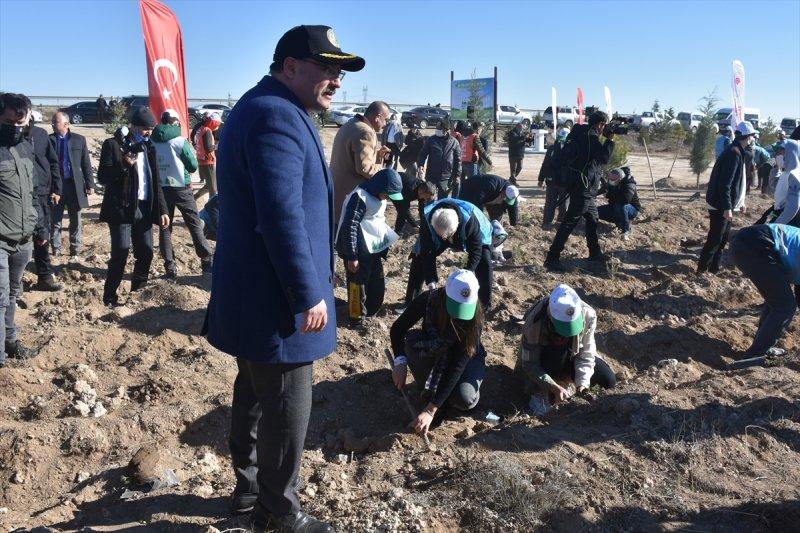 Milli Ağaçlandırma gününde yurt genelinde fidan dikimi yapıldı
