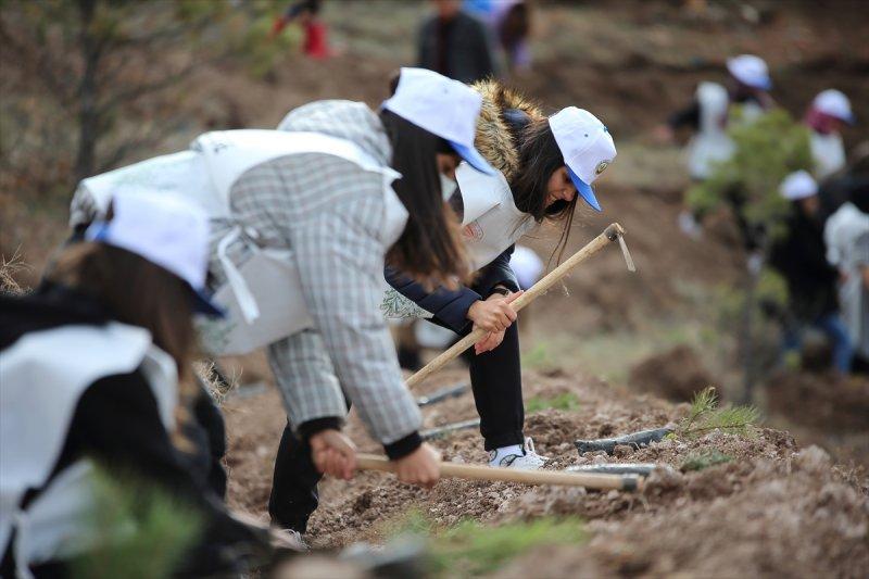 Milli Ağaçlandırma gününde yurt genelinde fidan dikimi yapıldı