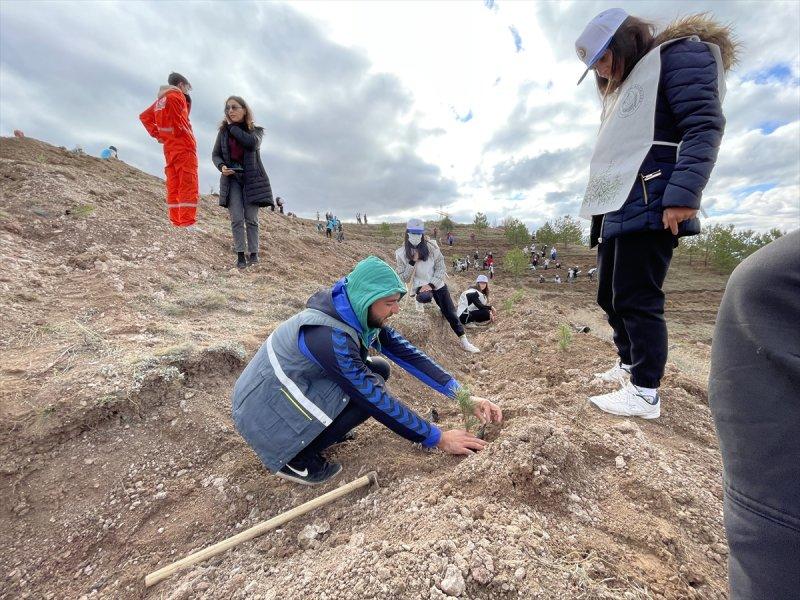 Milli Ağaçlandırma gününde yurt genelinde fidan dikimi yapıldı